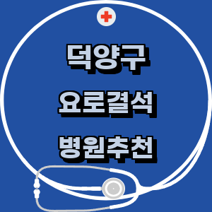 고양 덕양구 요로결석