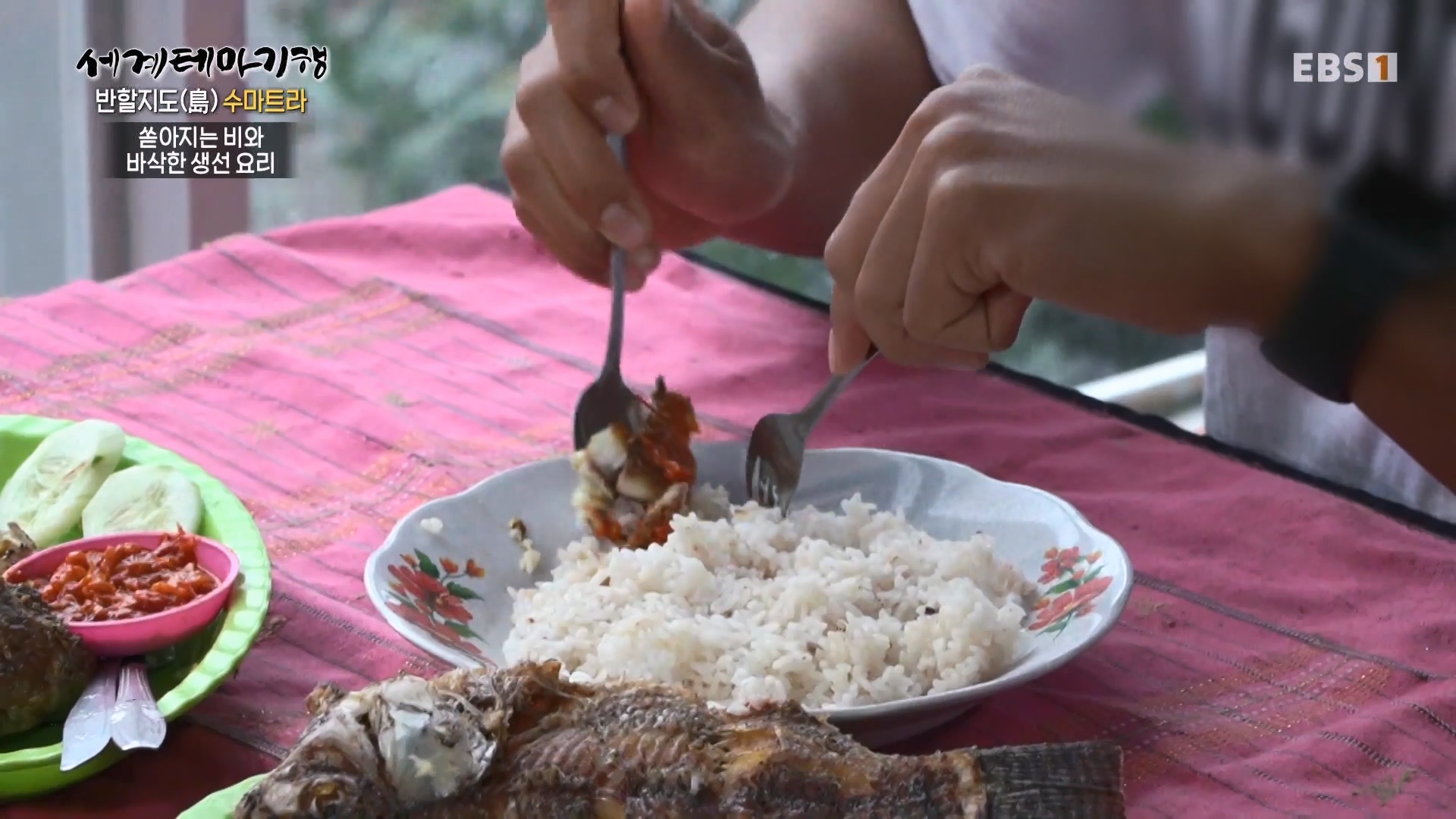 세계테마기행.230801.반할지도(島) 수마트라-2.놀멍 쉬멍 물멍 토바.mp4_20230820_124601.435.jpg