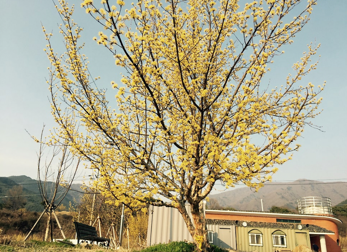 산동 이미지