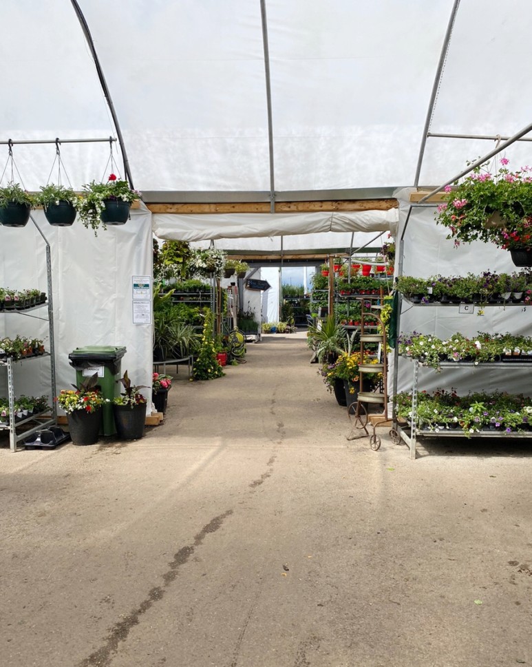 이름 가격도 같이 알아봐요. 예쁜 다육이 종류 31