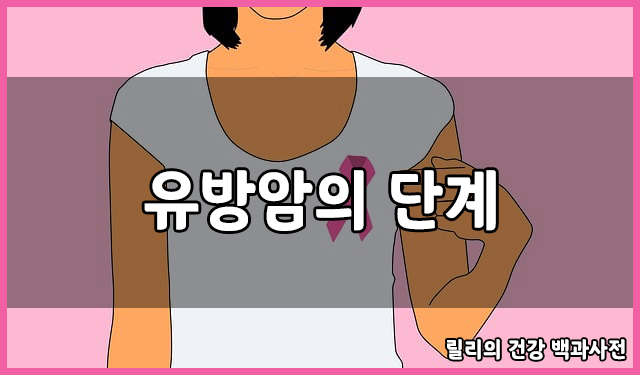  유방암 : 유방암의 단계