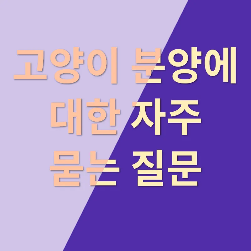 고양이 분양_4