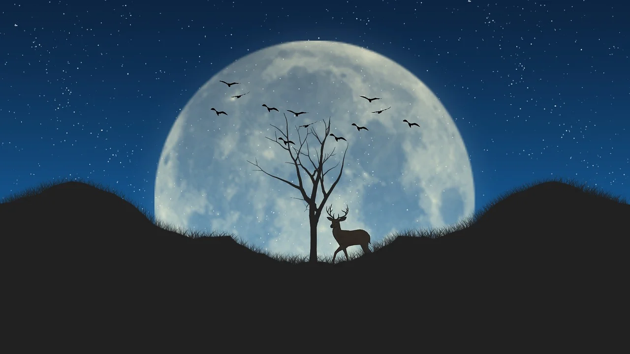 달꿈 이미지
