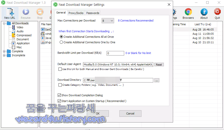 Neat Download Manager 설정 화면