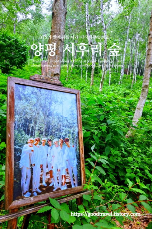 BTS촬영지&#44; 양평서후리숲