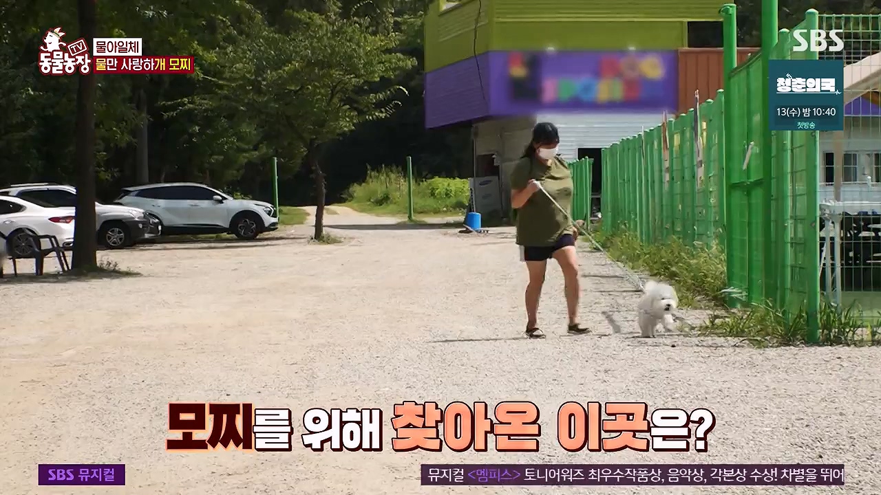 TV 동물농장.E1137.230911p-NEXT.mp4_20230910_183205.176.jpg