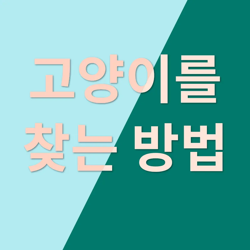 사랑하는 고양이 친구 선택 가이드_3