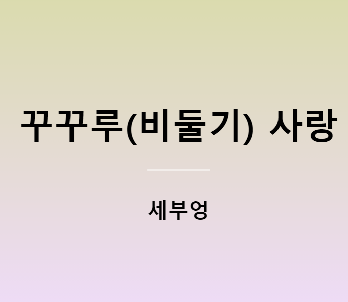 세부엉 꾸꾸루(비둘기) 사랑