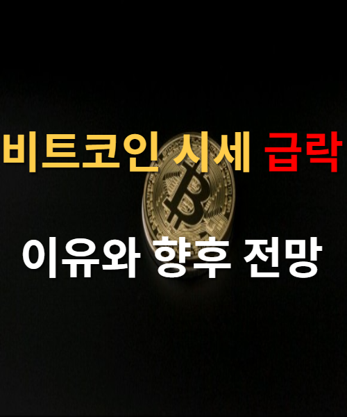  비트코인 시세 급락 위기일까 기회일까?