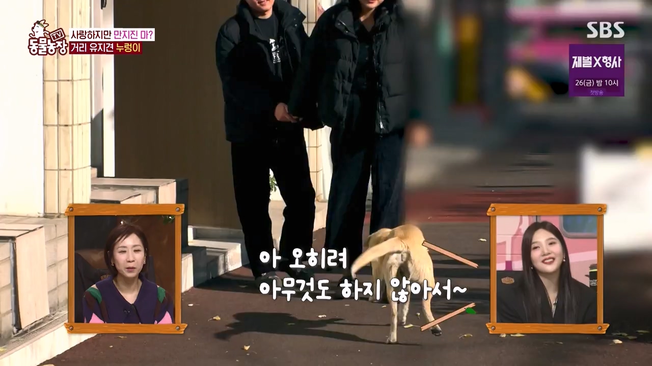 TV 동물농장.E1154.240115p-NEXT.mp4_20240114_184403.222.jpg