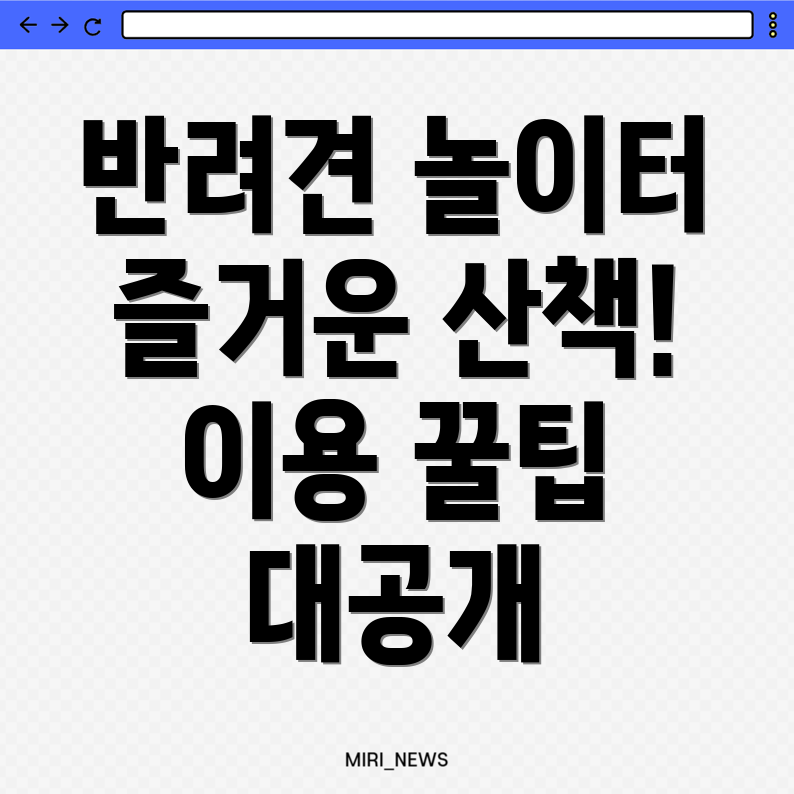 반려견 놀이터