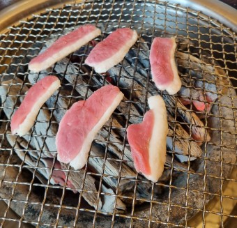 숯불 오리구이