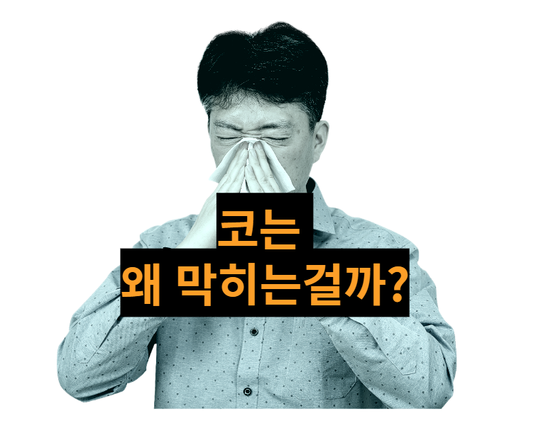  [건강정보] 코막힘 원인과 뚫는법 저만의 효과 직빵 노하우 알려드려요.