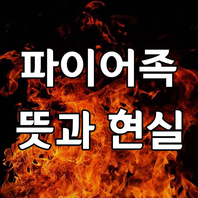 파이어족-불-썸네일