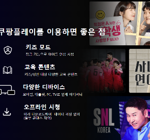 넷플릭스 공유금지