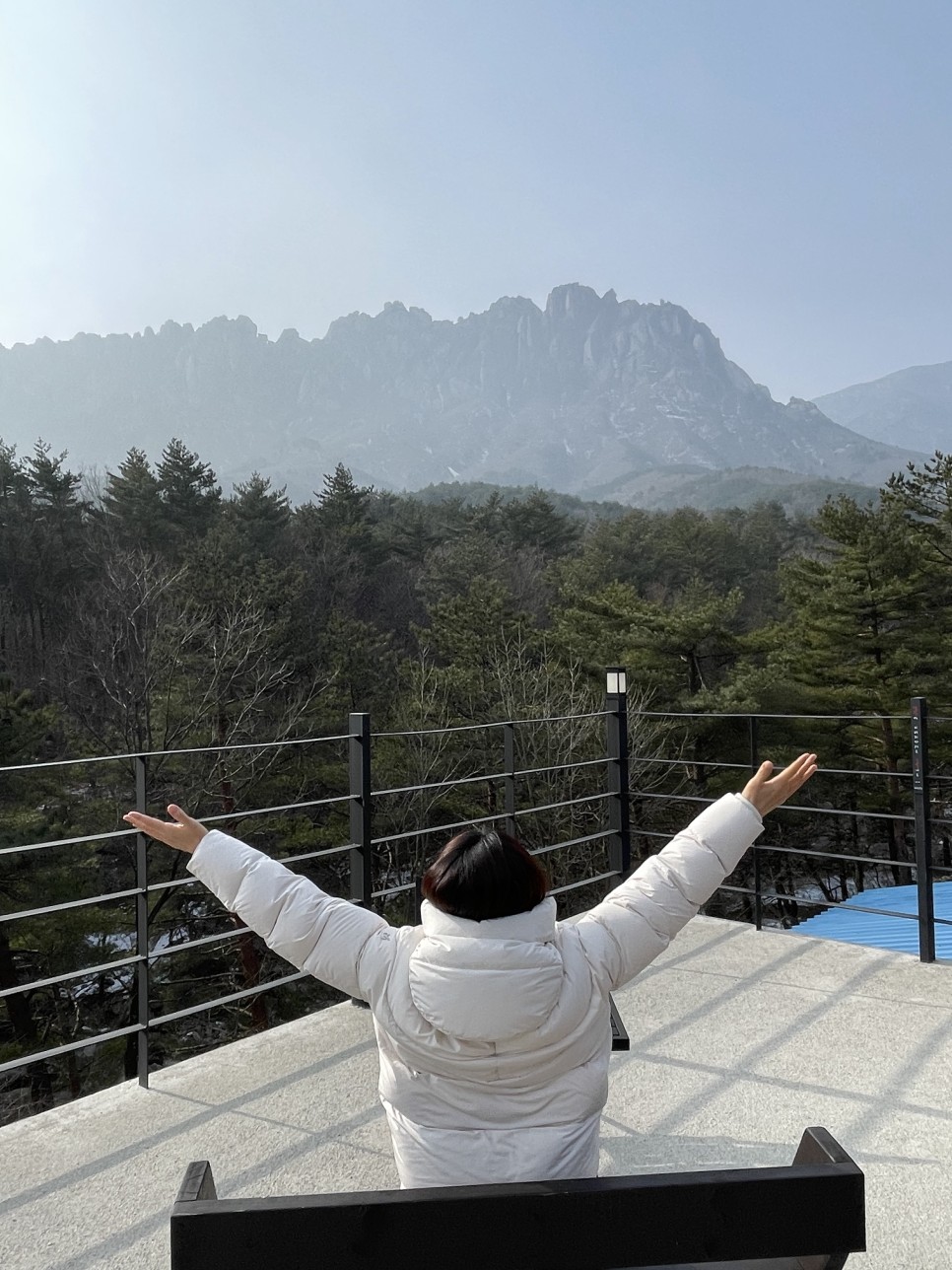 보헤미안박이추커피본점, 칠성조선소, 스테이오롯이 강원도 여행) 카페느루, 4