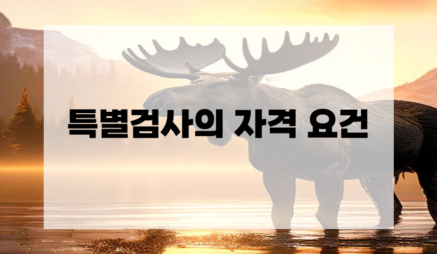 특별검사의 자격 요건