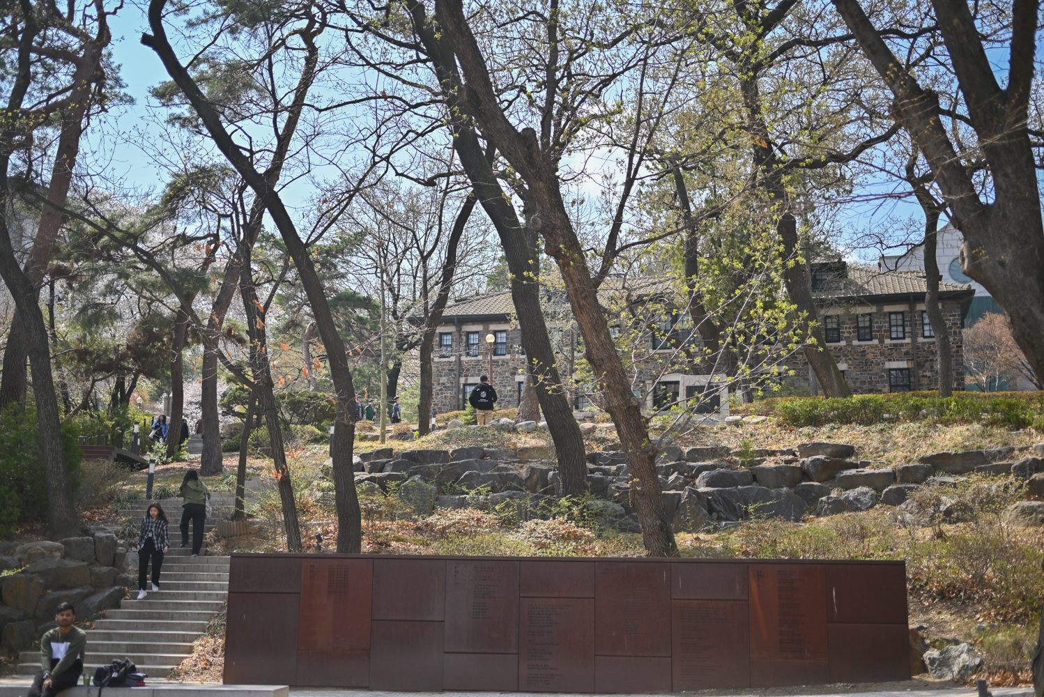 벚꽃 명소인 연세대