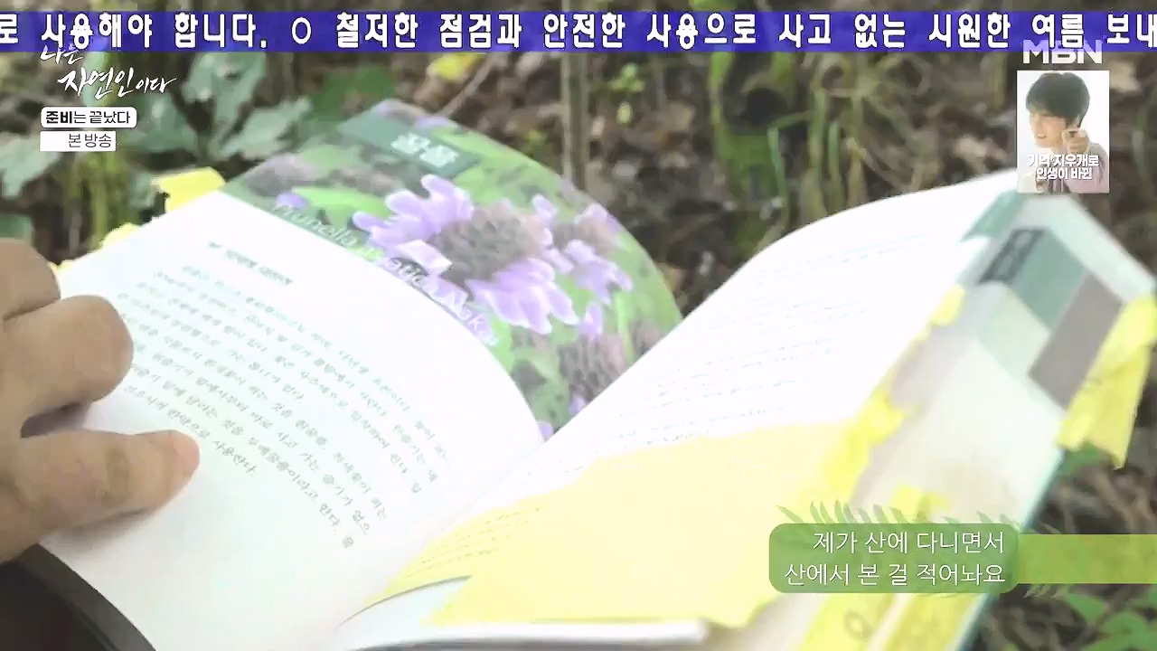 나는 자연인이다.E616.240732p-NEXT.mp4_20240801_195120.676.jpg