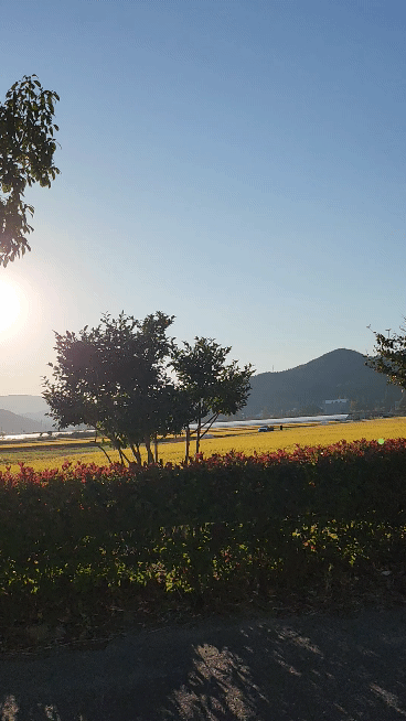 순천만
