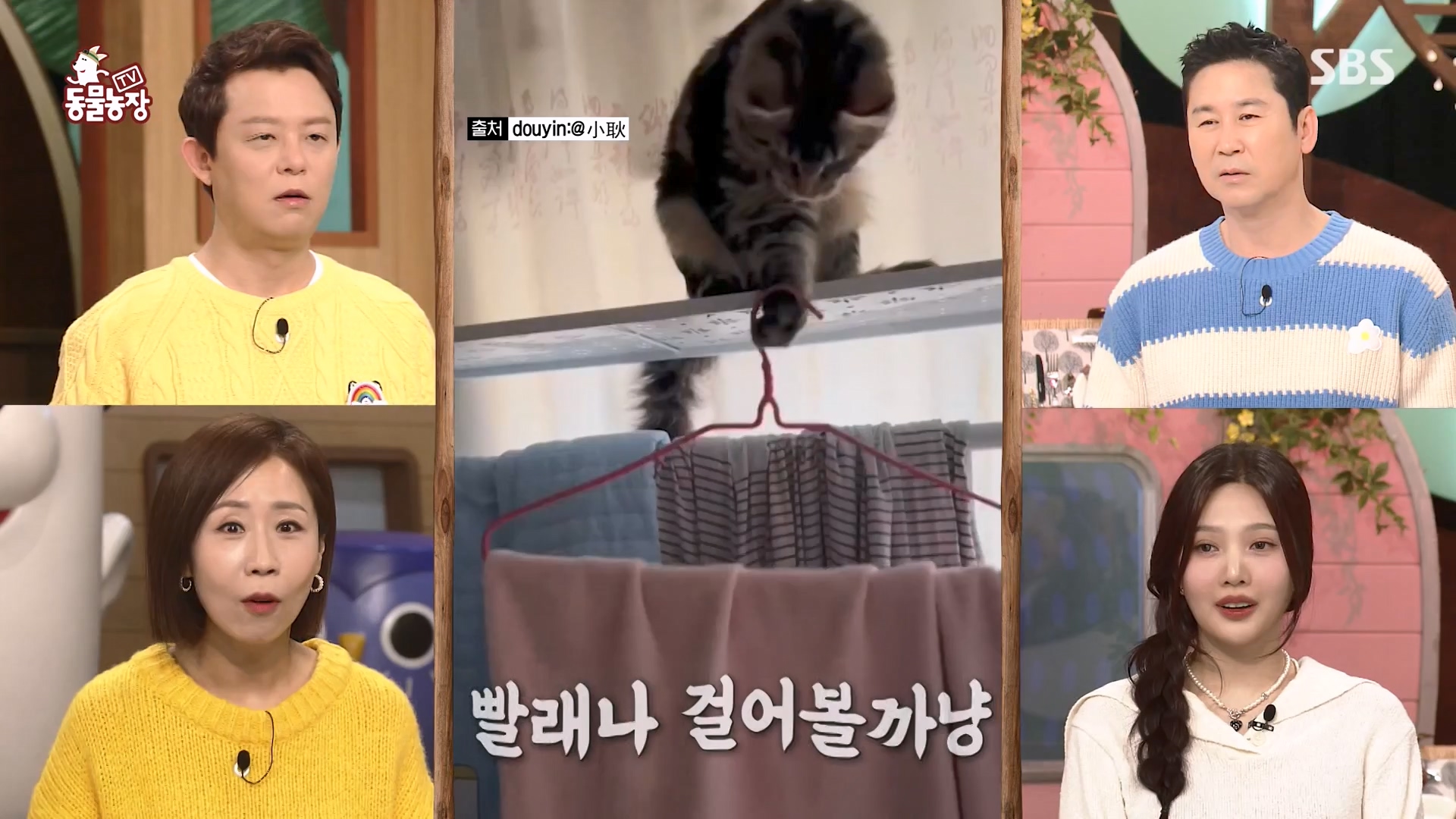 TV 동물농장.E1161.240303p-NEXT.mp4_20240303_172244.101.jpg