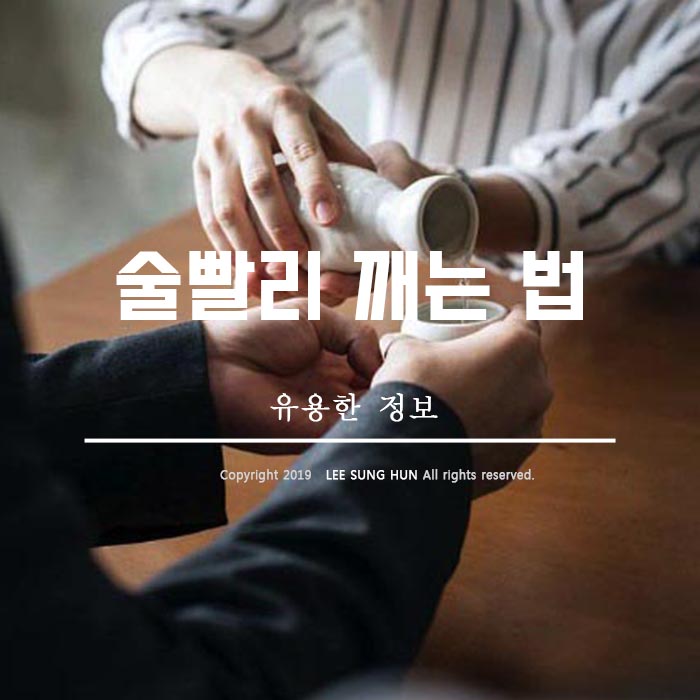  술 깨는 법 술 깨는 시간 확실하게 알아봤습니다.
