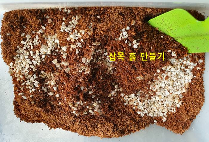 산세베리아 삽목 흙 만들기