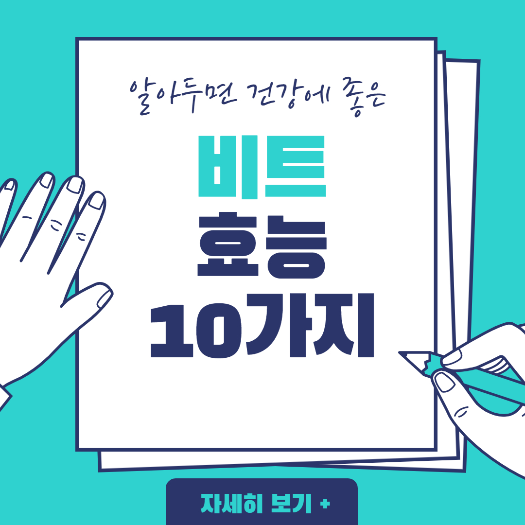 비트 효능
