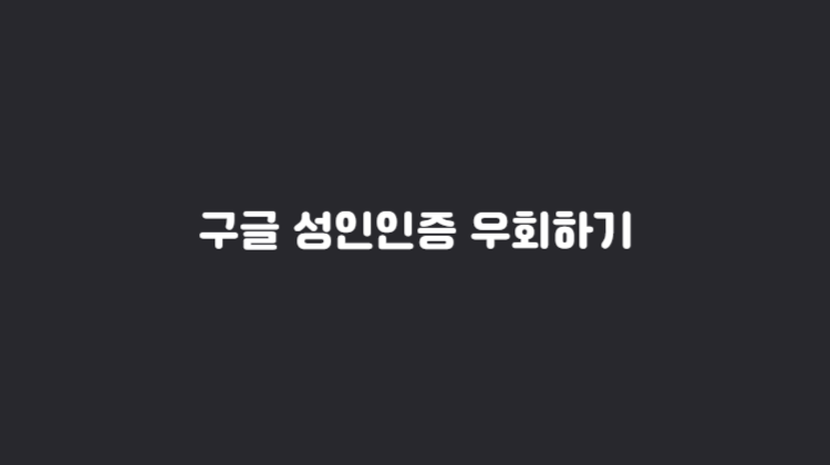 구글 성인인증 없이 사용하는 방법 (우회하기)