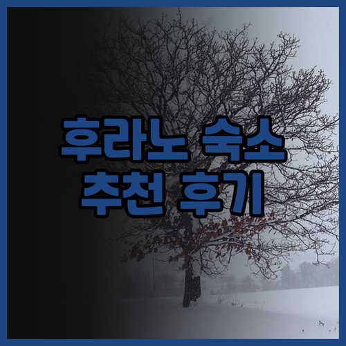 후라노 내츄럭스 호텔 추천 후기 역세