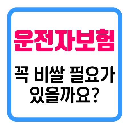  핵심이 되는 운전자보험보장내용만 설계에 담아 본 미니멀 운전자보험견적 소개해 드립니다.