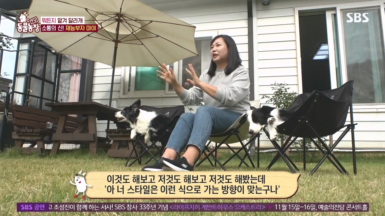 TV 동물농장.E1145.231113p-NEXT.mp4_20231112_173434.532.jpg