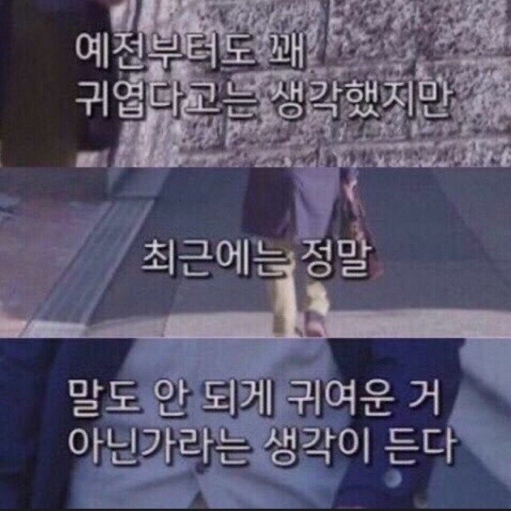 주접짤/덕질짤 모음 2탄 주접짤/덕질짤 모음 2탄