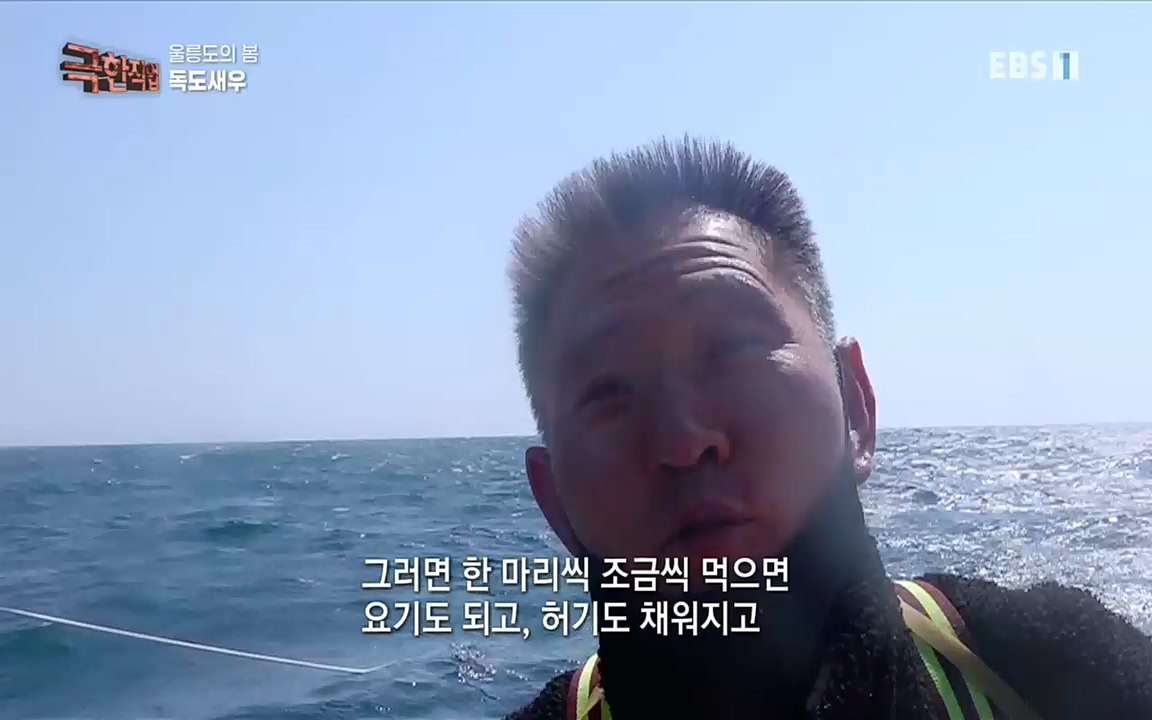 TV - 교육의 중심 EBS울릉도의 봄, 명이나물과 독도새우.mp4_20220525_210912.184.jpg