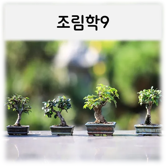  [조림학9]