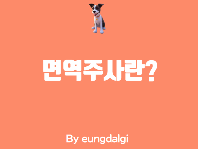  면역주사란? : 면역력을 높이는 효과적인 방법