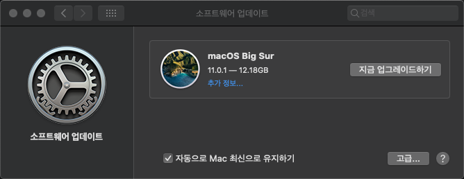  빅서(Big Sur) 정식 업데이트 / 호환성 문제 없나 (1)