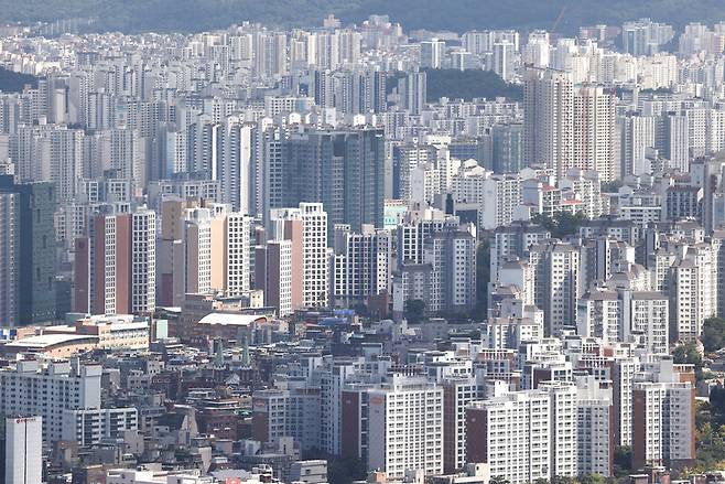 실수요자 유예기간 및 규정