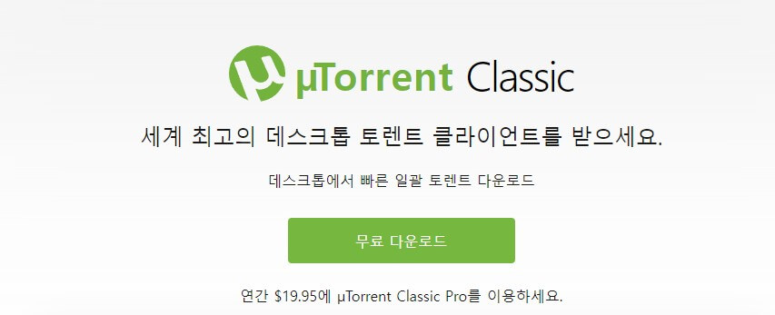  토렌트 사이트 순위 추천 best 5 알아보기