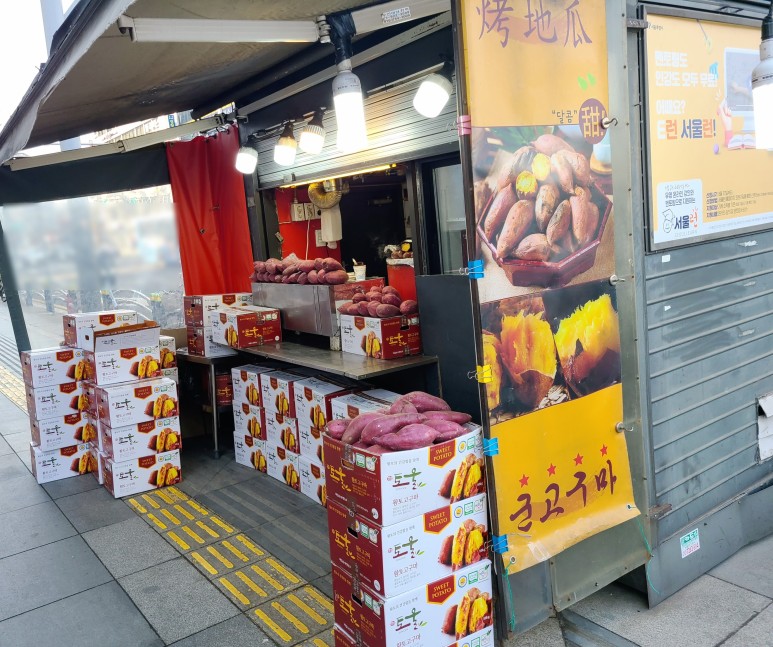 아시아 동대문 놀거리 2