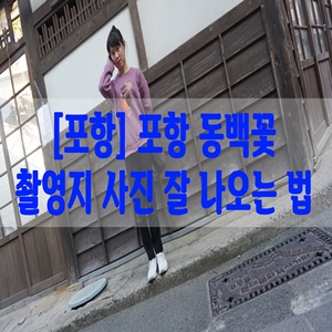  [포항] 구룡포 일본인가옥거리 포항 동백꽃 촬영지 탐방