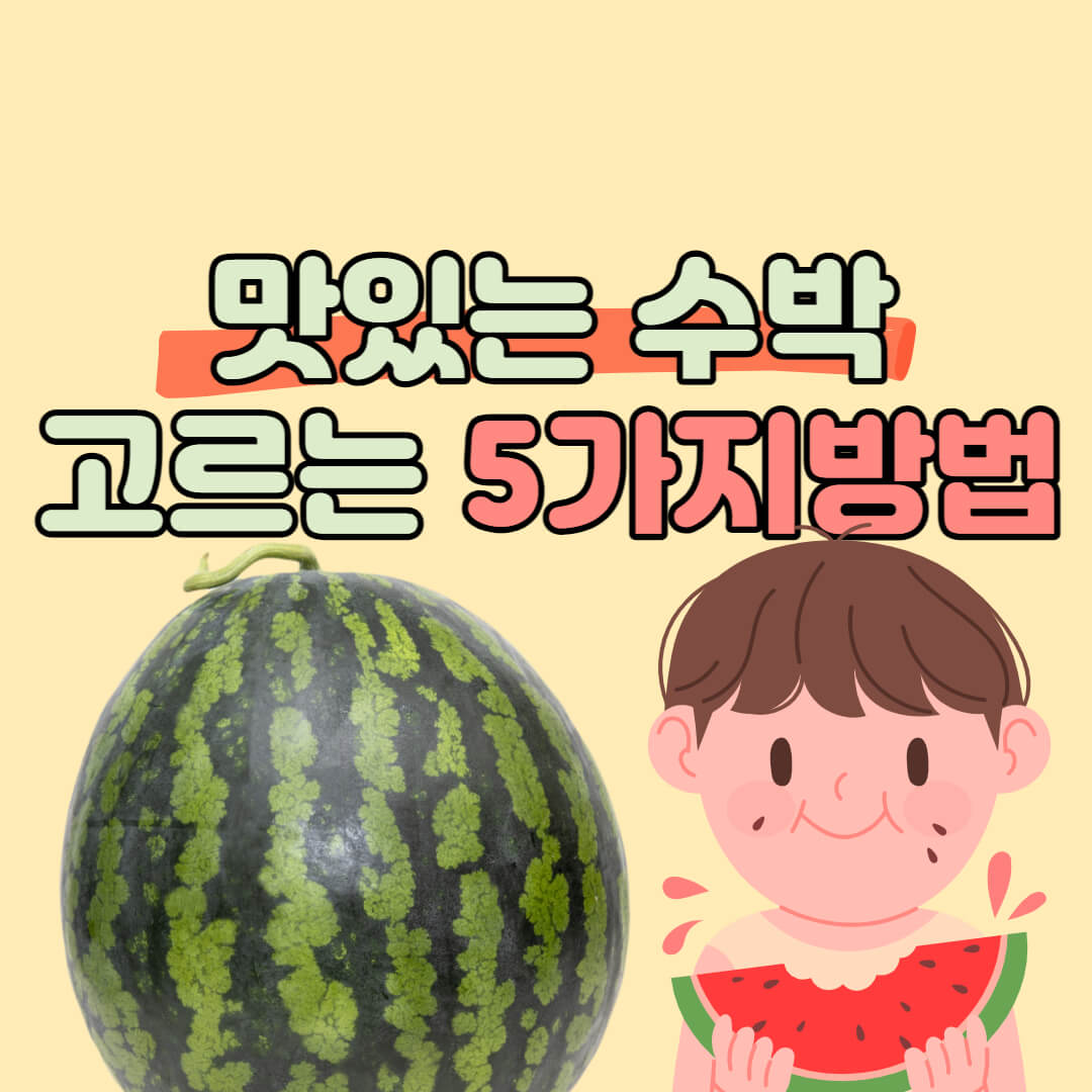  맛있는 수박 고르는 법 마트 수박 실패 없이 구매하는 tip