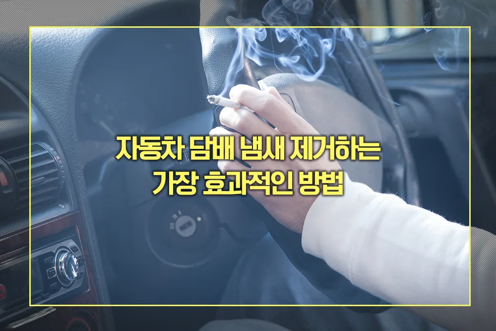 자동차 담배 냄새 제거 방법