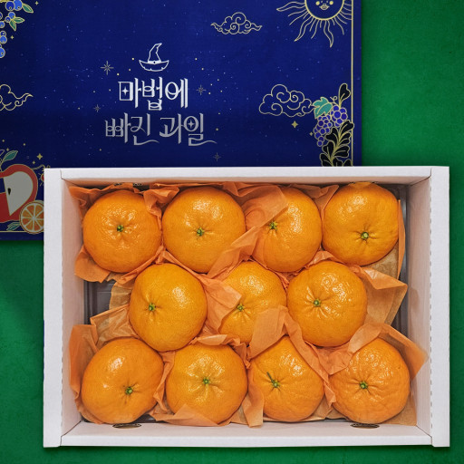 설날 선물 세트 추천