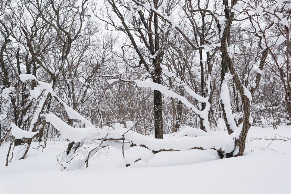눈쌓인 겨울산 이미지 74