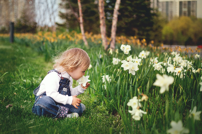 잔디에 앉아서 꽃 냄새를 맏는 아이