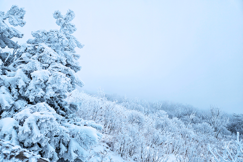 소백산국립공원 삼가동코스 이미지