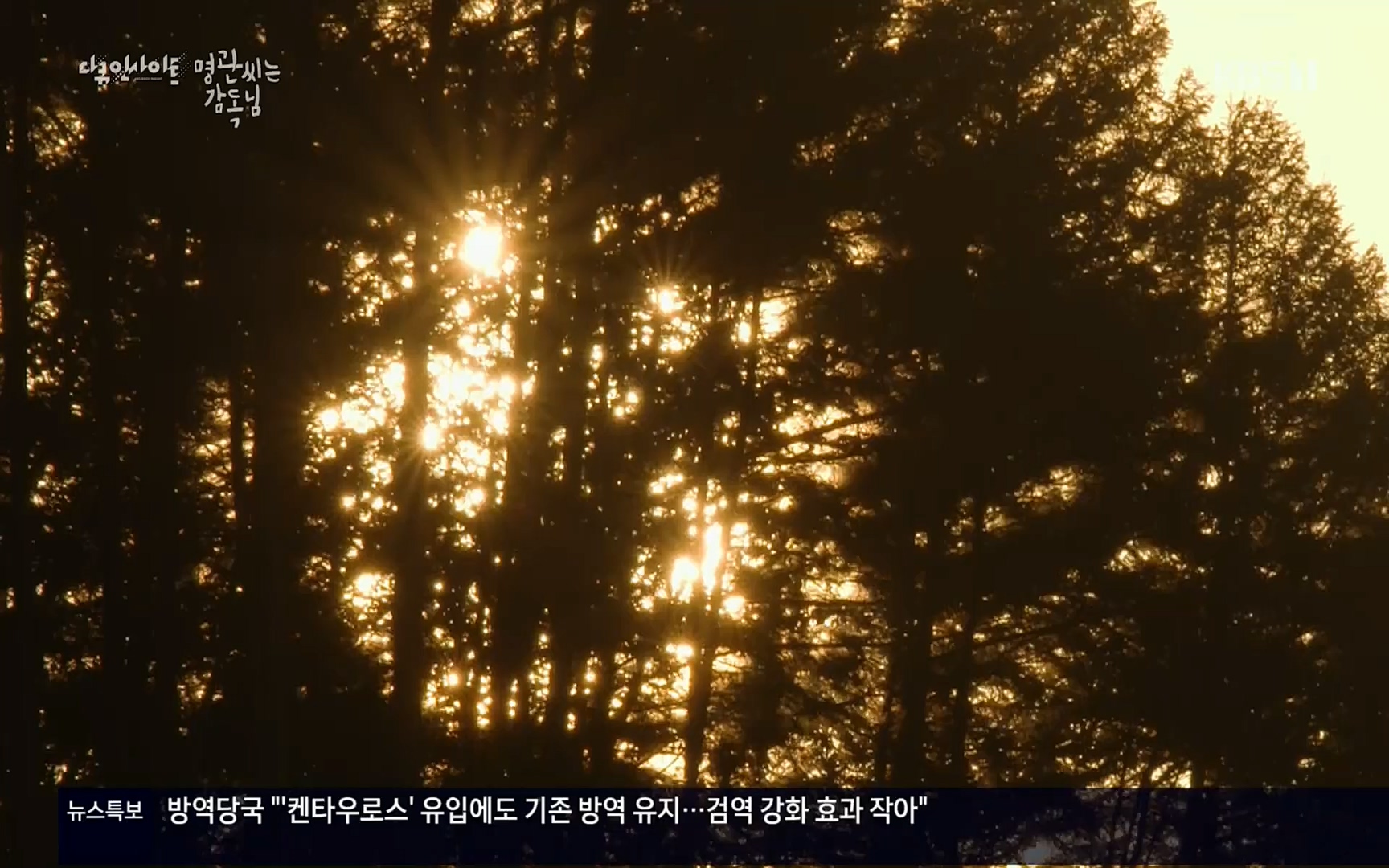 다큐 인사이트.E122.220825p.H264-F1RST.mp4_20220826_152314.837.jpg