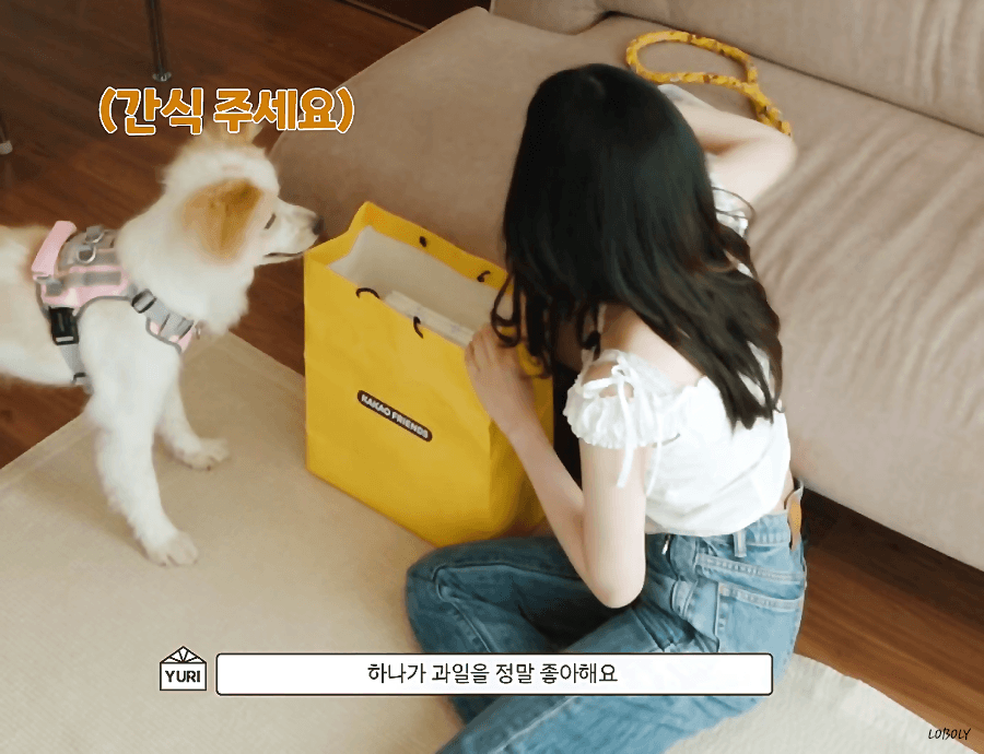 img.gif