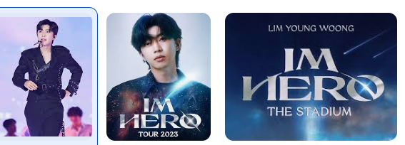 임영웅 콘서트